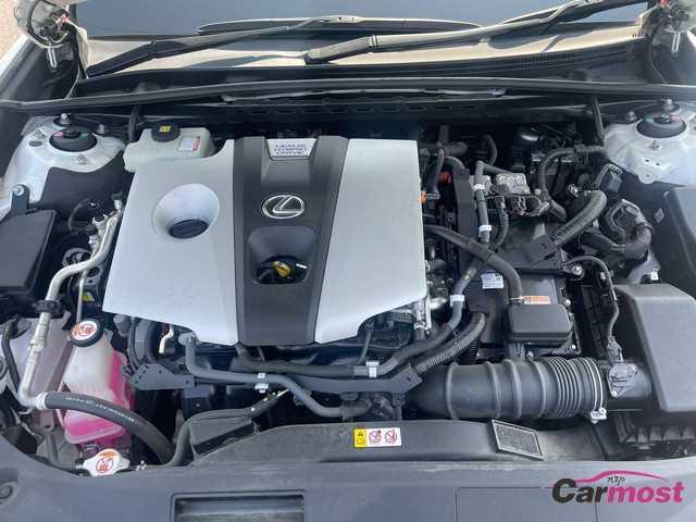 2019 Lexus ES CN F08-B84 Sub5